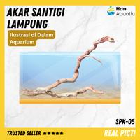 Gambar Akar Kayu Santigi Lampung Size Jumbo Hiasan Aquarium Aquacape SPK-05 dari Han Aquatic_NEW undefined 3 Tokopedia