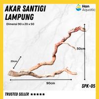 Gambar Akar Kayu Santigi Lampung Size Jumbo Hiasan Aquarium Aquacape SPK-05 dari Han Aquatic_NEW undefined 2 Tokopedia