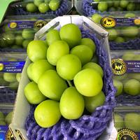 Gambar buah anggur hijau Muscat manis size jumbo - /ds 8pc X 500gr dari Toko buah Riansyah undefined 5 Tokopedia