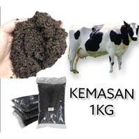 Gambar Allshop1- Kebun Dzaki - Pupuk Kotoran Sapi - Kohe Kandang Sapi dari shopall11 undefined 1 Tokopedia