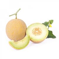 Gambar Benih melon RZ Inthanon - 1000 kemasan ori dari Lapak Benih undefined 3 Tokopedia