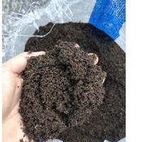Gambar Allshop1- Kebun Dzaki - Pupuk Kotoran Sapi - Kohe Kandang Sapi dari shopall11 undefined 3 Tokopedia