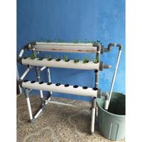 Gambar Pipa Hidroponik 1 meter 3 inch 10 Lubang DFT NFT Paralon PVC dari TB Serba Adaa undefined 5 Tokopedia