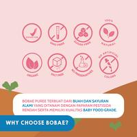 Gambar BoBae BABY – Pear, Peas, Broccoli/ MPASI Anak 6 Bulan Organik dari Bobae Baby undefined 4 Tokopedia