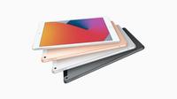 Gambar Apple iPad 9 2021 10.2 inch 256GB Garansi Resmi iBox - Inter Wifi, Space Grey dari istorebdg undefined 3 Tokopedia