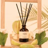 Gambar Reed Diffuser Pewangi Kamar Mandi Summerspring Aromateraphy - apel dari GudangPengharum.Id undefined 3 Tokopedia