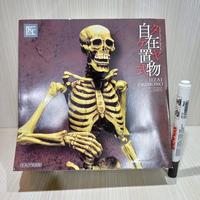 Gambar Mainan action figure Jizai okomono Kt 006 Tengkorak skeleton Tinggi s dari Mainan Toys Action Figure undefined 1 Tokopedia
