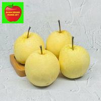 Gambar BUAH PEAR MADU SUPER QUALITY SWEET PEAR SEGAR MANIS - 1.000 GR dari Buah Segar Manis JKT undefined 4 Tokopedia