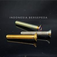 Gambar Titanium Countersunk Bolt M6x40mm - Baut Titanium Multi Purpose - Gold dari Indonesia Bersepeda undefined 2 Tokopedia
