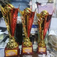 Gambar trophy piala impor sepak bola futsal 2 daun 2180 satuan - 1set dari Luckysport88 undefined 3 Tokopedia