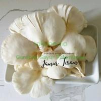 Gambar Jamur Tiram dari Gerobak Sayur undefined 1 Tokopedia