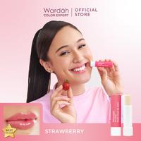 Gambar Wardah Lip balm Fruity sheer Vitamin E Lip bam lipstik bibir kosmetik - LipBalm Strober dari yaYes Collection undefined 5 Tokopedia