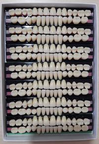 Gambar GIGI OPAL H DENT FULL SET, Hakusui Japan - FUL WR.6 UK.H5 dari hdent ortolux undefined 2 Tokopedia