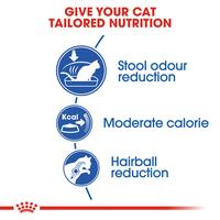 Gambar Royal Canin Indoor 27 Makanan Kucing Dewasa Kering 400gr dari Pet Shop Indonesia undefined 3 Tokopedia