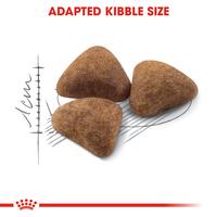 Gambar Royal Canin Indoor 27 Makanan Kucing Dewasa Kering 400gr dari Pet Shop Indonesia undefined 4 Tokopedia