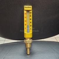 Gambar 100 CELSIUS 40 mm (RTW 27) GLASS THERMOMETER RANSBURG dari Rexsamas Hydraulic undefined 1 Tokopedia