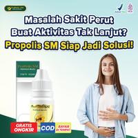 Gambar Obat Infeksi Usus Buntu Kram Perut Sakit Apenditis Herbal Propolis dari Ampera Herbal undefined 1 Tokopedia