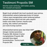 Gambar Obat Infeksi Usus Buntu Kram Perut Sakit Apenditis Herbal Propolis dari Ampera Herbal undefined 5 Tokopedia