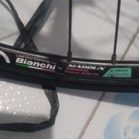 Gambar Wheelset rims bianchi hub intro 7 dari gane sumber berkah sukses makmur jaya abadi undefined 1 Tokopedia