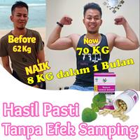 Gambar Obat Penggemuk Badan Permanen BPOM Nature Gemuk Badan 60 Kapsul Asli dari NUSARAYA82 undefined 2 Tokopedia