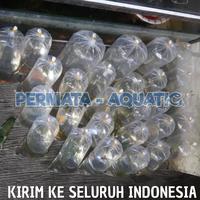Gambar Ikan Cere Laut Hidup Pakan Makanan Ikan Predator Bersih Sehat by Codi - Ukuran Kecil dari Armankitchen undefined 2 Tokopedia