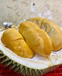 Gambar Buah Durian Black Thorn Sultan Malaysia 1KG, 2KG,3KG Fresh Import - 2.4KG dari CoffeeCago undefined 2 Tokopedia