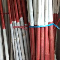 Gambar Tongkat Pramuka Toya Penggalang Bambu Berkualitas - Panjang ±160cm - Merah Panjang dari Neosant herbal catalog undefined 2 Tokopedia