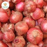 Gambar Bawang Merah Bantaeng - 500gr dari Daeng Sayur undefined 1 Tokopedia