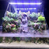Gambar paludarium full set 40 cm / tinggal isi air dari GLOBAL AQUASCAPE undefined 4 Tokopedia