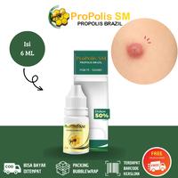Gambar Obat Oles Bisul Herbal Alami Propolis Sm 100% Asli Original Halal MUI dari Risman Herbal Store undefined 1 Tokopedia