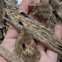 Gambar Kayu gaharu asli triple super king 1 kg - merauke hay oud Arabic Class dari MARVEL AGARWOODS undefined 2 Tokopedia