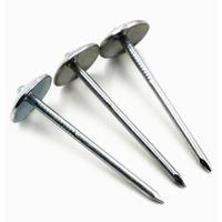 Gambar Paku payung seng asbes Atap  7 cm 3" inch 200 gram per pack dari SUN HARDWARE undefined 2 Tokopedia