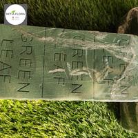 Gambar FLORAL FOAM BASAH BUNGA POTONG GREEN LEAF dari Setia Flora undefined 3 Tokopedia