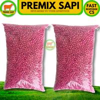 Gambar BENIH SORGUM BIOGUMA 2 KEMASAN 1 KG dari Premix Sapi undefined 1 Tokopedia