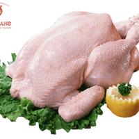 Gambar Chicken whole Frozen/ ayam utuh karkas 0.5 0.6 kg (YAMIKU) dari CIRALANS STORE undefined 4 Tokopedia