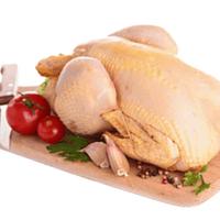 Gambar Chicken whole Frozen/ ayam utuh karkas 0.5 0.6 kg (YAMIKU) dari CIRALANS STORE undefined 3 Tokopedia
