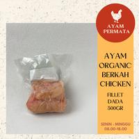 Gambar Ayam Organik Dada Fillet Berkah Chicken NO ANTIBIOTIK / HORMON dari Ayam Fresh Permata undefined 3 Tokopedia