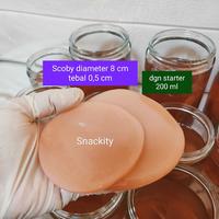 Gambar Scoby bibit jamur kombucha//scoby premium//scoby tebal//diameter 8 cm - Tebal 0,5 cm dari Snackity kombucha undefined 4 Tokopedia