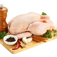Gambar Chicken whole Frozen/ ayam utuh karkas 0.5 0.6 kg (YAMIKU) dari CIRALANS STORE undefined 5 Tokopedia