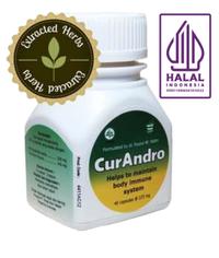 Gambar CurAndro - Suplemen daya tahan tubuh / obat herbal untuk kesehatan dari Jamu Heritage undefined 2 Tokopedia
