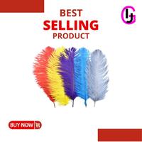Gambar BULU OSTRICH 30CM dari INDAHJAYA.GROSIR undefined 1 Tokopedia