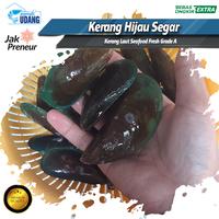 Gambar Kerang laut ijo hidup 1Kg | Kerang hijau | kijing \ Kerang ijo hidup dari Rumah Udang Jakarta undefined 3 Tokopedia