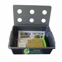 Gambar Paket Pemula Starter Kit Hidroponik 1 Bak untuk 9 Lubang Tanam dari Hidroponik Casa Farm undefined 1 Tokopedia