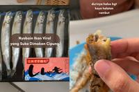 Gambar Ikan Shisamo isi 8 Ikan Cipung Per Pack, Ready Stock Delivery Jogja dari Hayaaolshop Tokopedia undefined 2 Tokopedia