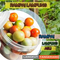 Gambar rampai lampung 200gram dari BILAL BERSAUDARA undefined 1 Tokopedia