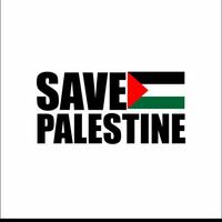 Gambar STICKER SAVE PALESTINE FLAG KACA MOBIL STIKER CUTTING PALESTINA GAZA - Putih dari Hendri-Store undefined 3 Tokopedia