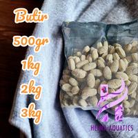 Gambar MAYIN RUGBY Media Filter Rumah Bakteri Aquarium 3kg 1kg 500gr butir - Butir dari HEIMA AQUATIC undefined 2 Tokopedia