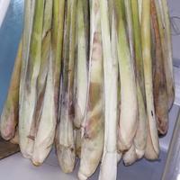 Gambar Batang Sereh/serai 1 kg dari Sang Rempah undefined 1 Tokopedia