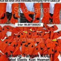 Gambar Sarung Tangan Pegang Falk Lovebird Nuri Afgrey Kakatua Macau - SARUNG TANGAN, - MERAH dari Zainal Birdshop undefined 4 Tokopedia