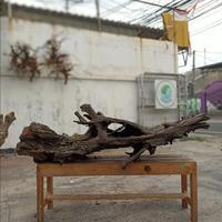 Gambar HIASAN KOLAM PALUDARIUM TERARIUM | KAYU HARDSCAPE SANTIGI JUMBO - KSL-03 dari Draquatic Karang Tengah undefined 4 Tokopedia